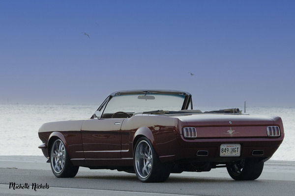 Thelma Digital Download