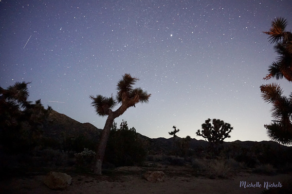 Joshua Tree National Park Digital Download