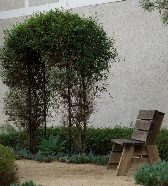 Little Bench Digital Download