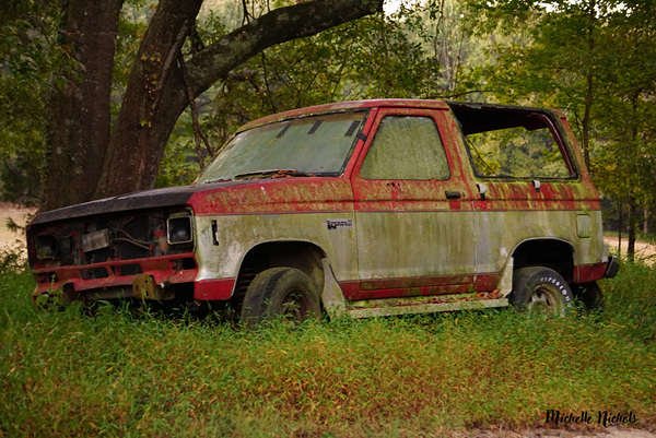 Old Bronco Digital Download