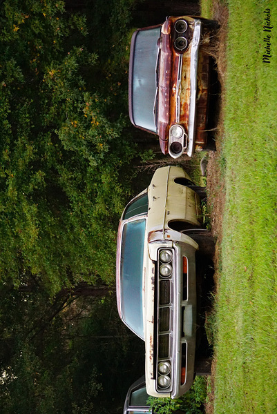 Old Cars in a Field Digital Download