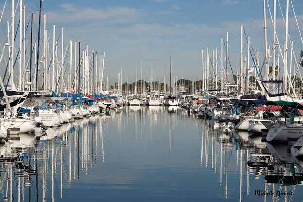 The Marina Digital Download