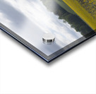 Keith Spring Mtn Valley Acrylic print