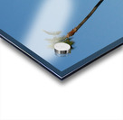 Just One Palm Tree Acrylic print