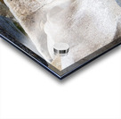 Meditation Rocks Acrylic print