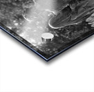 Tears of Stone Acrylic print