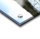 Convertible Silver Corvette Impression Acrylique