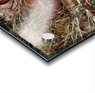 A Beautiful Bouquet Acrylic print