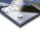 RR Hood Ornament Impression Acrylique