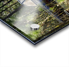 Sugar Babe Acrylic print