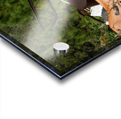 Junk Yard Gold Acrylic print