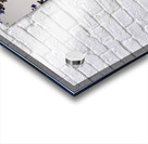 White Rose and Anise Hyssop Impression Acrylique