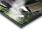 Jane and Dan s Treasure Acrylic print