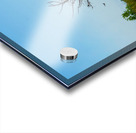 Venice LA Acrylic print