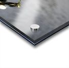 Heron s Little Snack Acrylic print