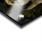 Lara Foster Acrylic print