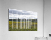 Keith Spring Mtn Valley Acrylic Print