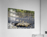 Dry Creek Bridge Impression acrylique