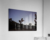 Joshua Tree National Park Acrylic Print