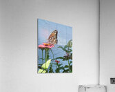 Southern Royalty In Bloom copy Impression acrylique