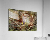 A Beautiful Bouquet Acrylic Print