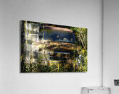 Forgotten Impression acrylique