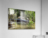 Sugar Babe Acrylic Print