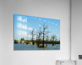 Venice LA Acrylic Print