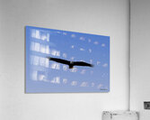 Soaring Impression acrylique