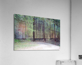 A Country Lane Acrylic Print