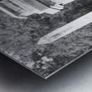 Cemetary BW Pass Chris Metal print