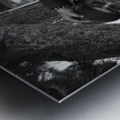 Paco and Tito BW Metal print