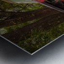 Old Bronco Metal print