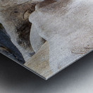 Meditation Rocks Metal print