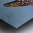 Southern Royalty In Bloom copy Impression metal