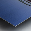 Thelma 2 Metal print