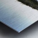 Convertible Silver Corvette Impression metal