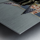 Jeep with Flags Metal print