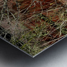 A Beautiful Bouquet Metal print