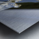 RR Hood Ornament Impression metal