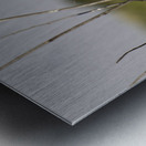 Red winged Blackbird Impression metal