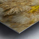 Seed Head Whisps Impression metal