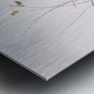 Wabi Sabi Metal print