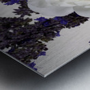 White Rose and Anise Hyssop Impression metal