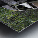 Jane and Dan s Treasure Metal print