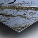 Bringing the Groceries Metal print