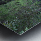 A Country Lane Metal print