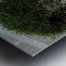 Little Bench Metal print