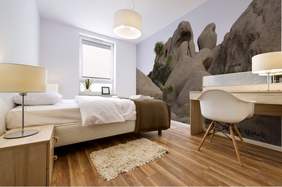 Joshua Tree Bolders Mural print