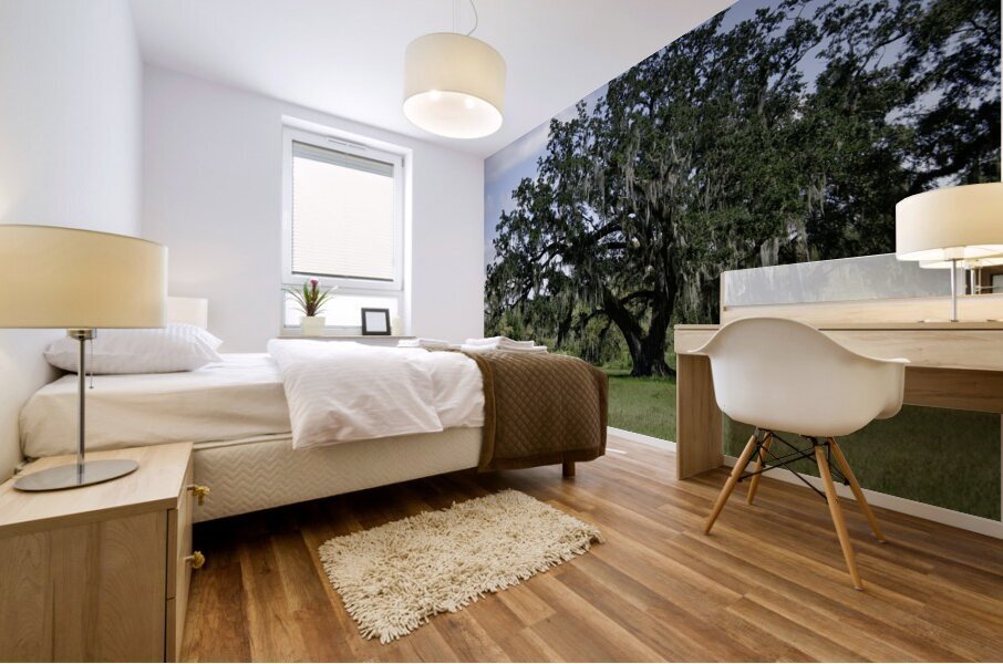 Big Old Tree Mural print